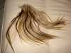 prodam evropske vlasy 90pramenu na metodu BON PLUS .Vlasy jsou blond , sestrihane do spice .delka zhruba 30-40cm .